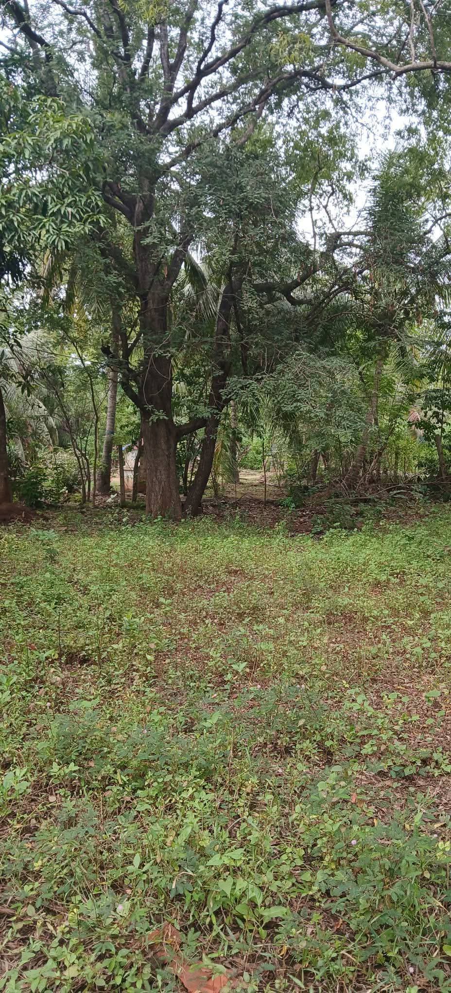 Residential Land for Sale in Kataragama