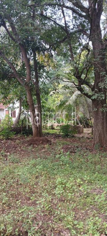 Residential Land for Sale in Kataragama