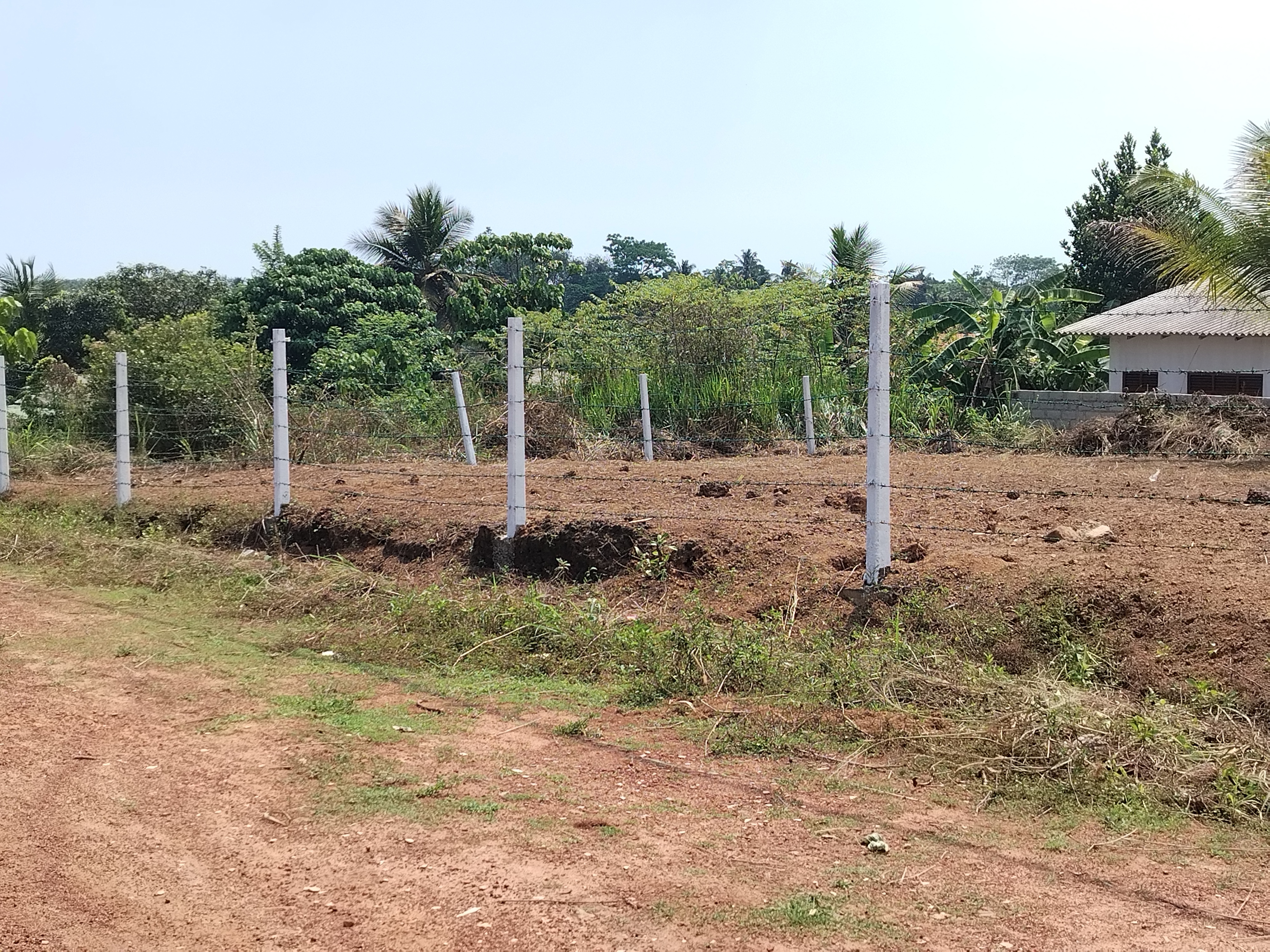 Residential Land for Sale in Gonapola Junction