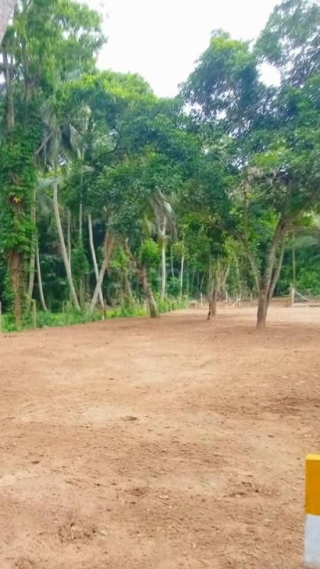 Residential Land for Sale in Divulapitiya