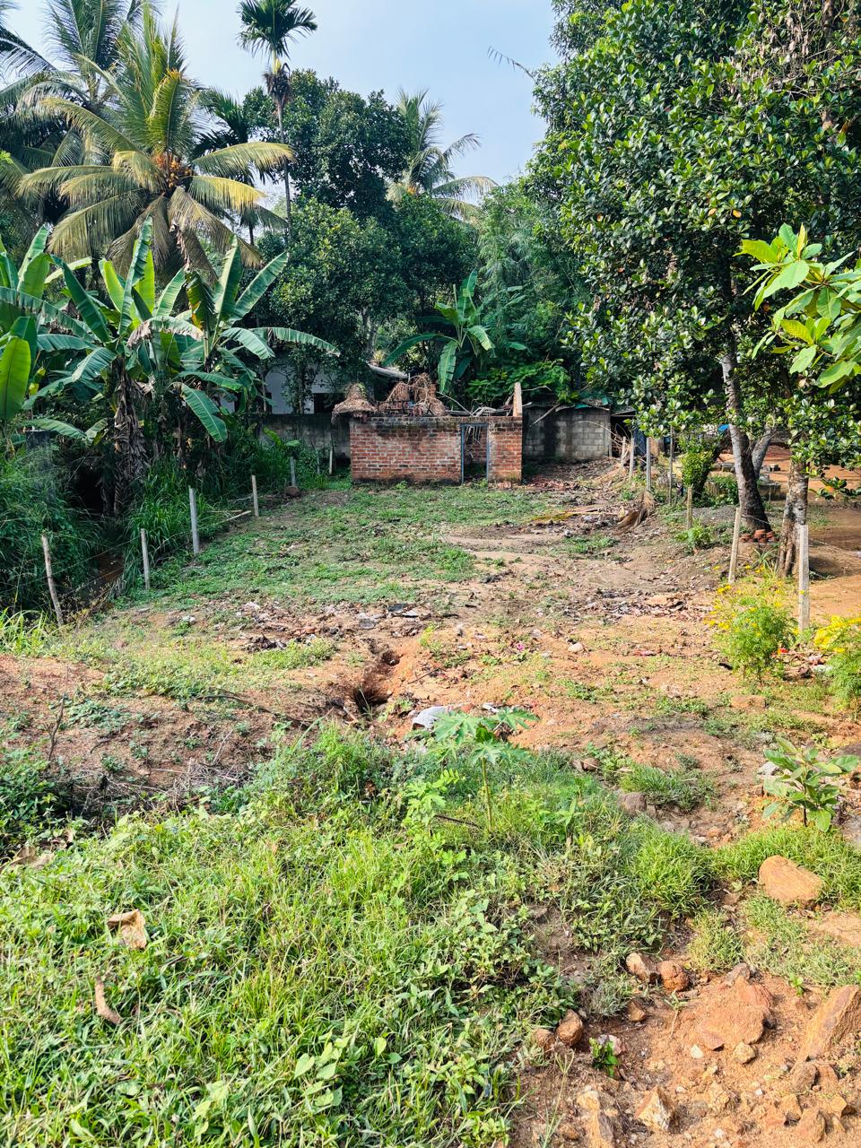 Commercial Land for Sale in Embilipitiya