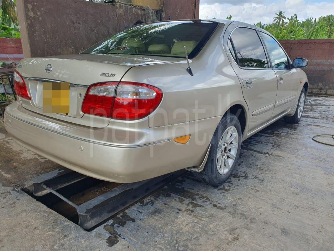 Advertisement image 2