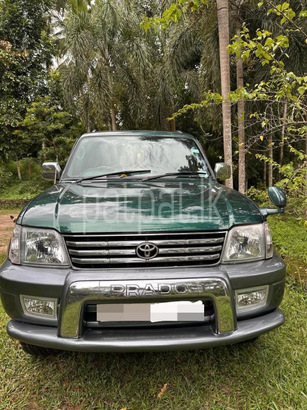 Advertisement image 6