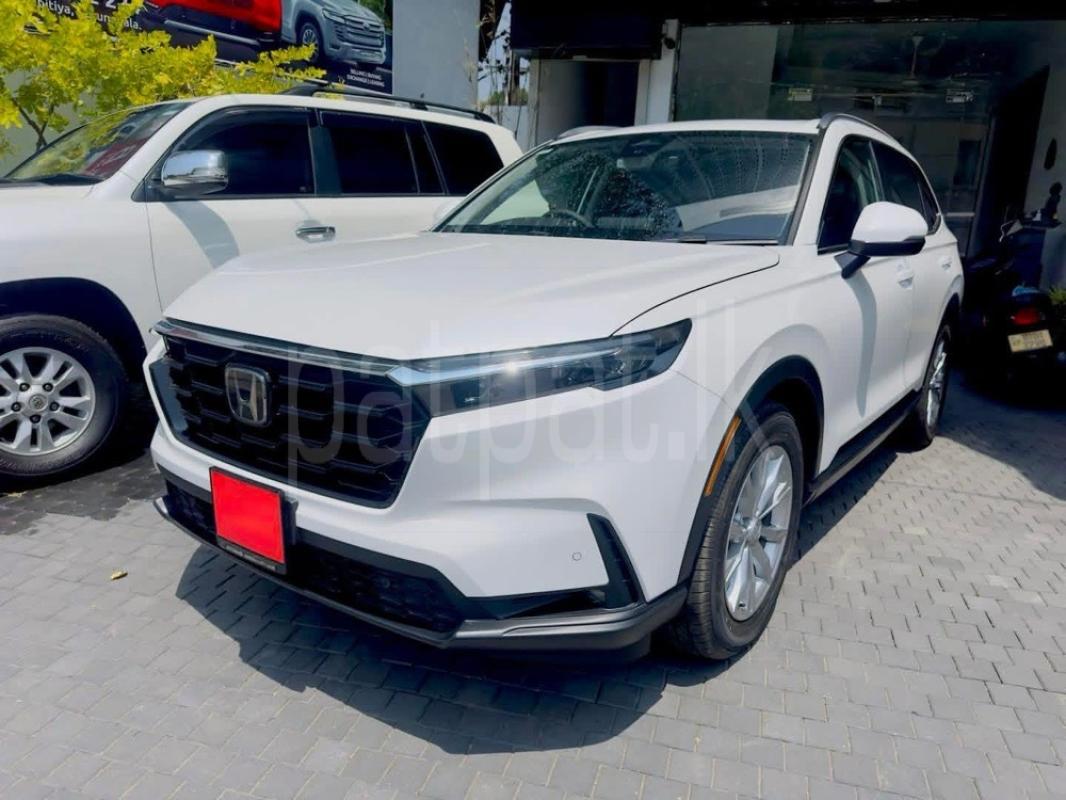 Advertisement image 3