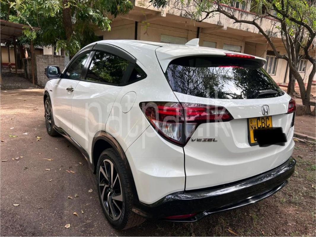 Advertisement image 3