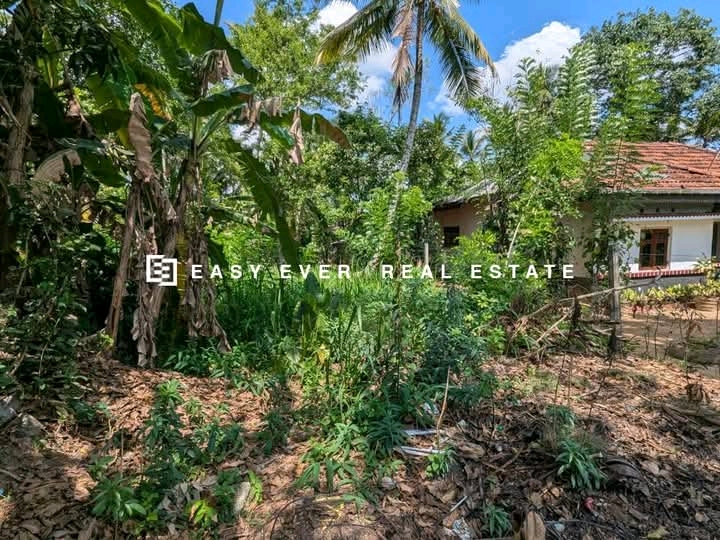 Commercial Land for Sale in Siyambalape