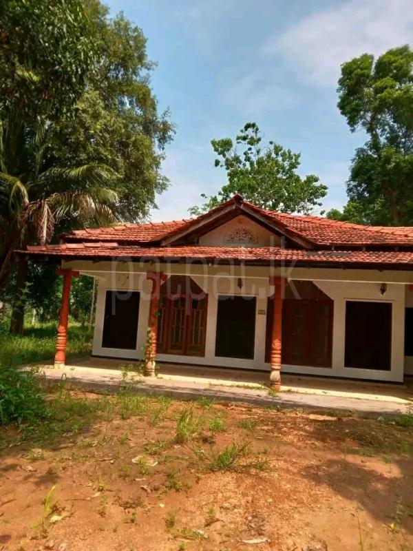 House for Sale in Ambanpola