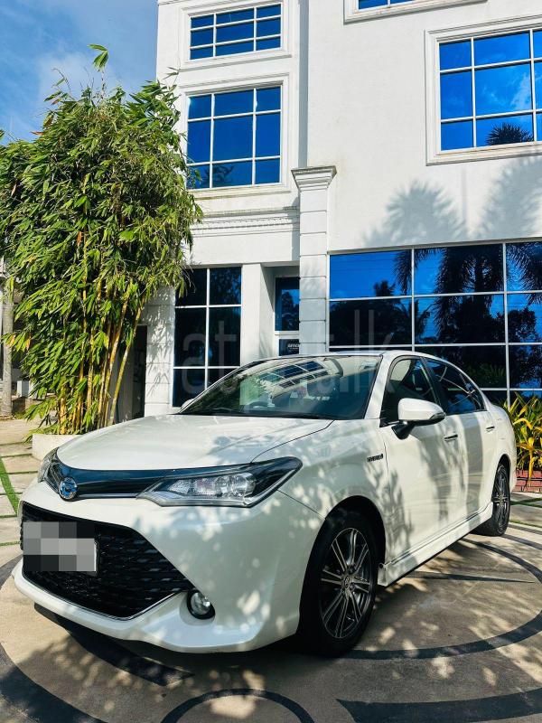 Advertisement image 1