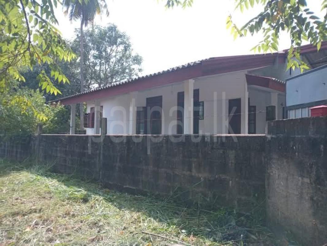 House for Sale in Ja-Ela ads-image-1