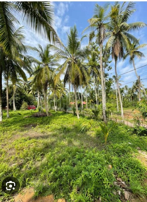 Residential Land for Sale in Tissamaharama ads-image-1