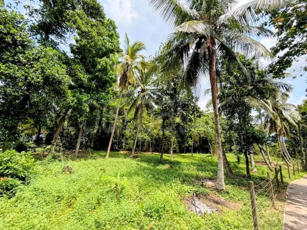 Commercial Land for Sale in Malabe ads-image-1