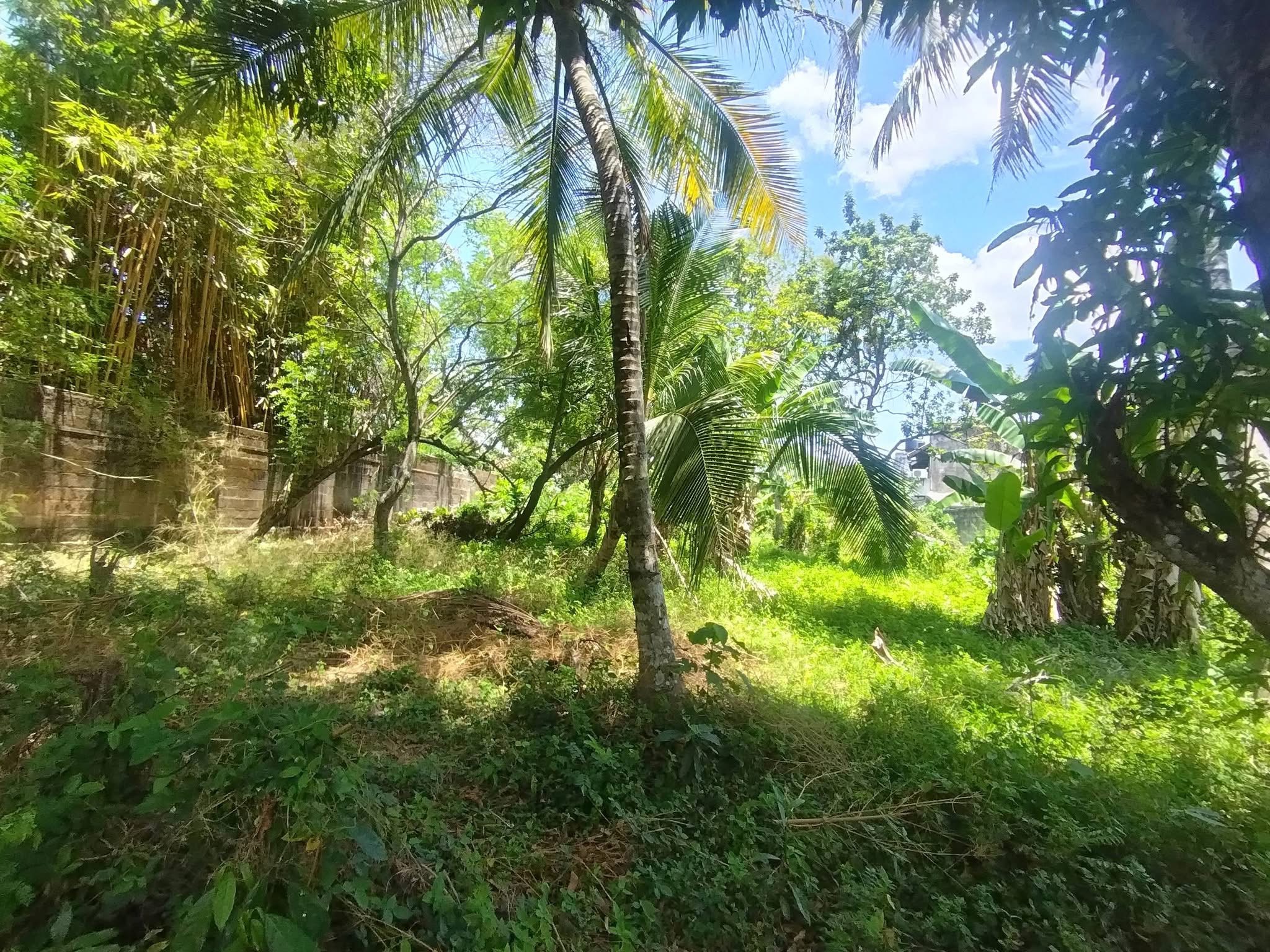 Residential Land for Sale in Pelawatta