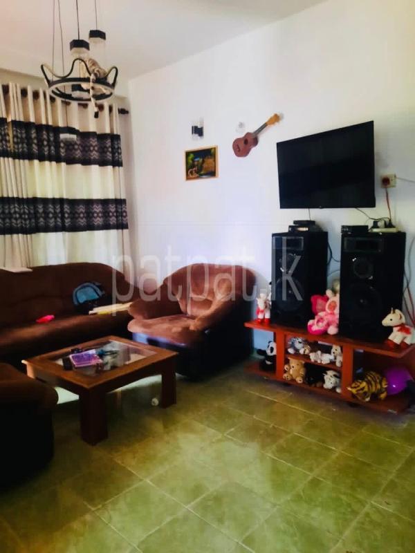 Advertisement image 5