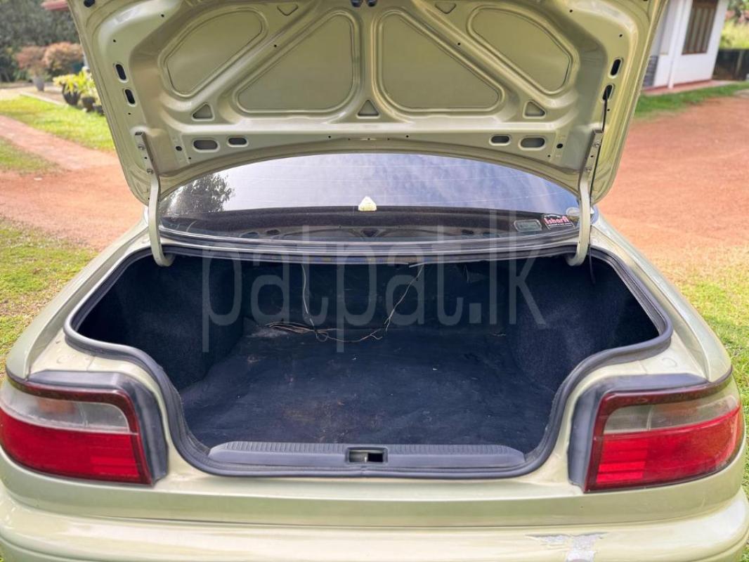 Advertisement image 5