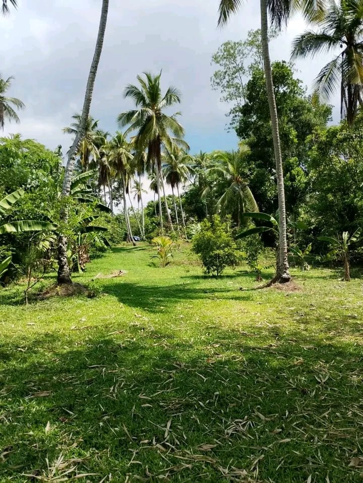 Commercial Land for Sale in Yakkala