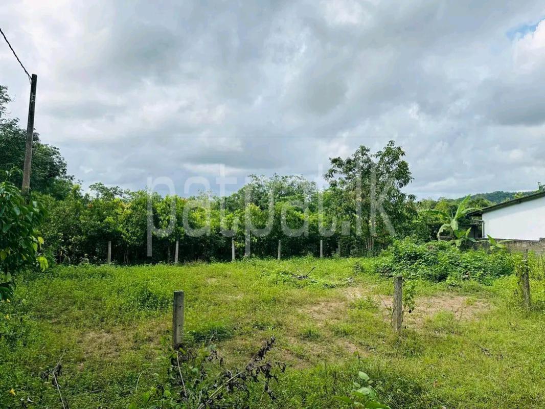 Agricultural Land for Sale in Panadura