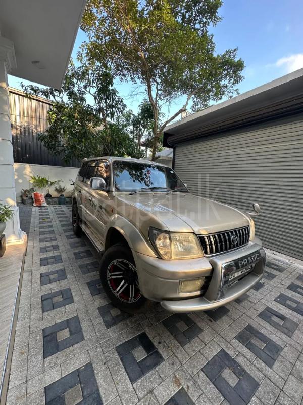 Advertisement image 4