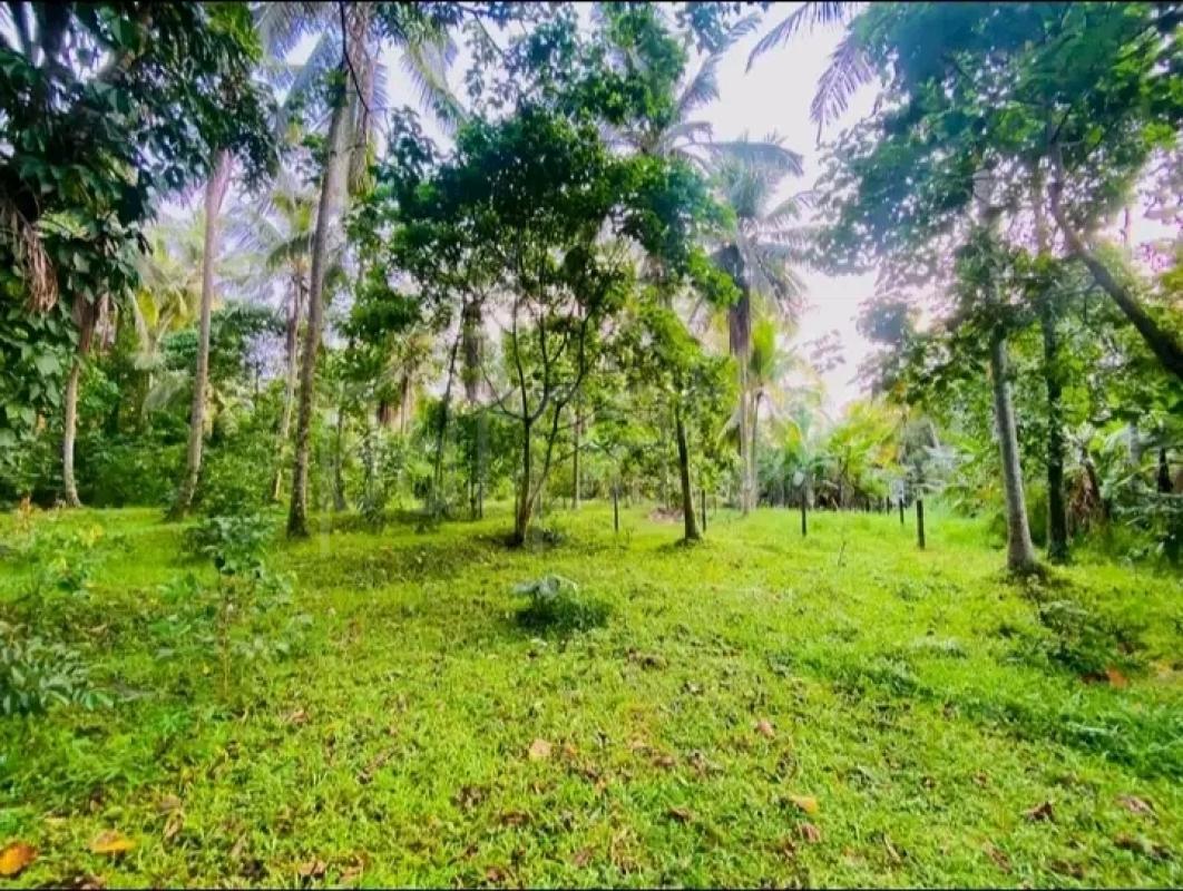 Residential Land for Sale in Gampola