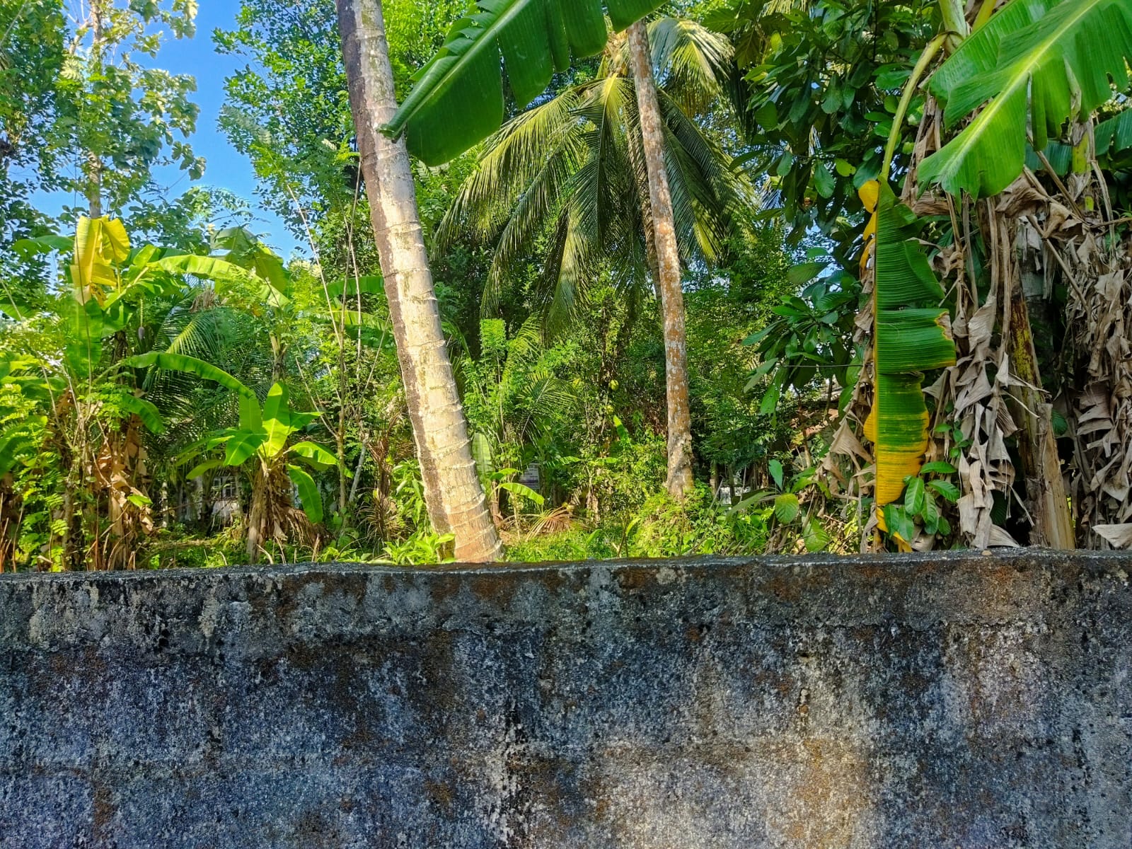 Residential Land for Sale in Panadura