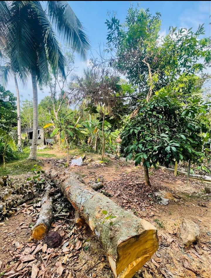 House for Sale in Kadawatha