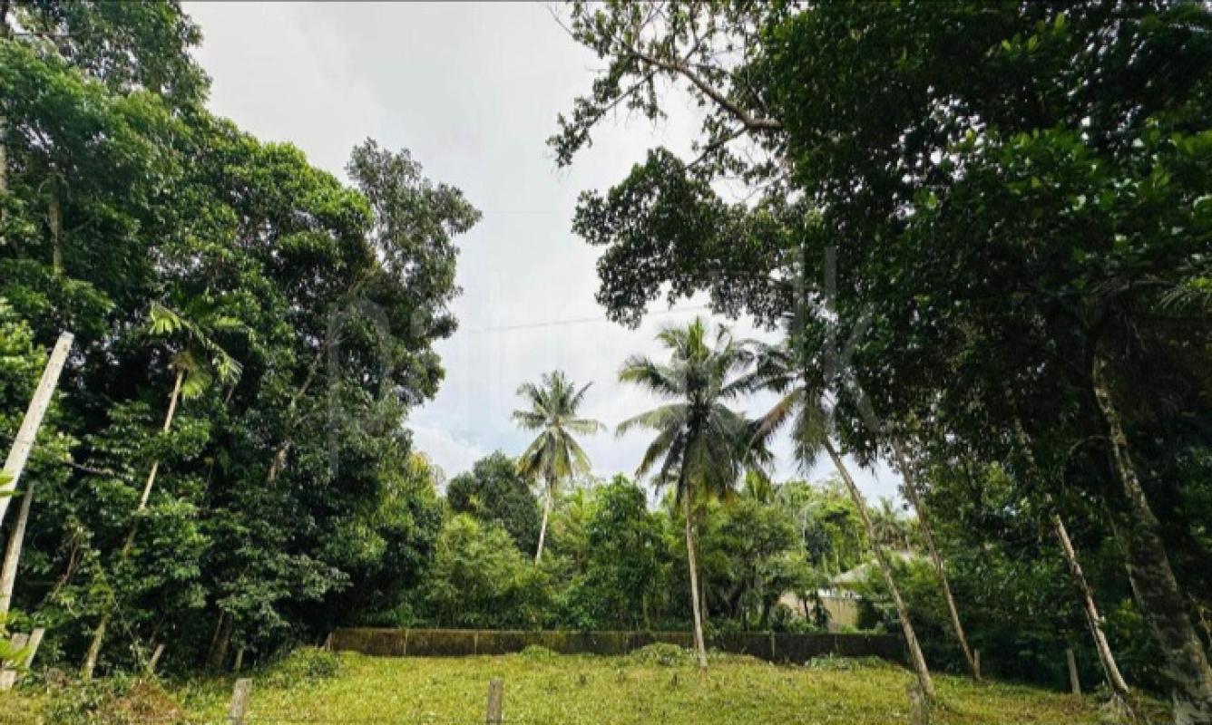 Commercial Land for Sale in Panadura