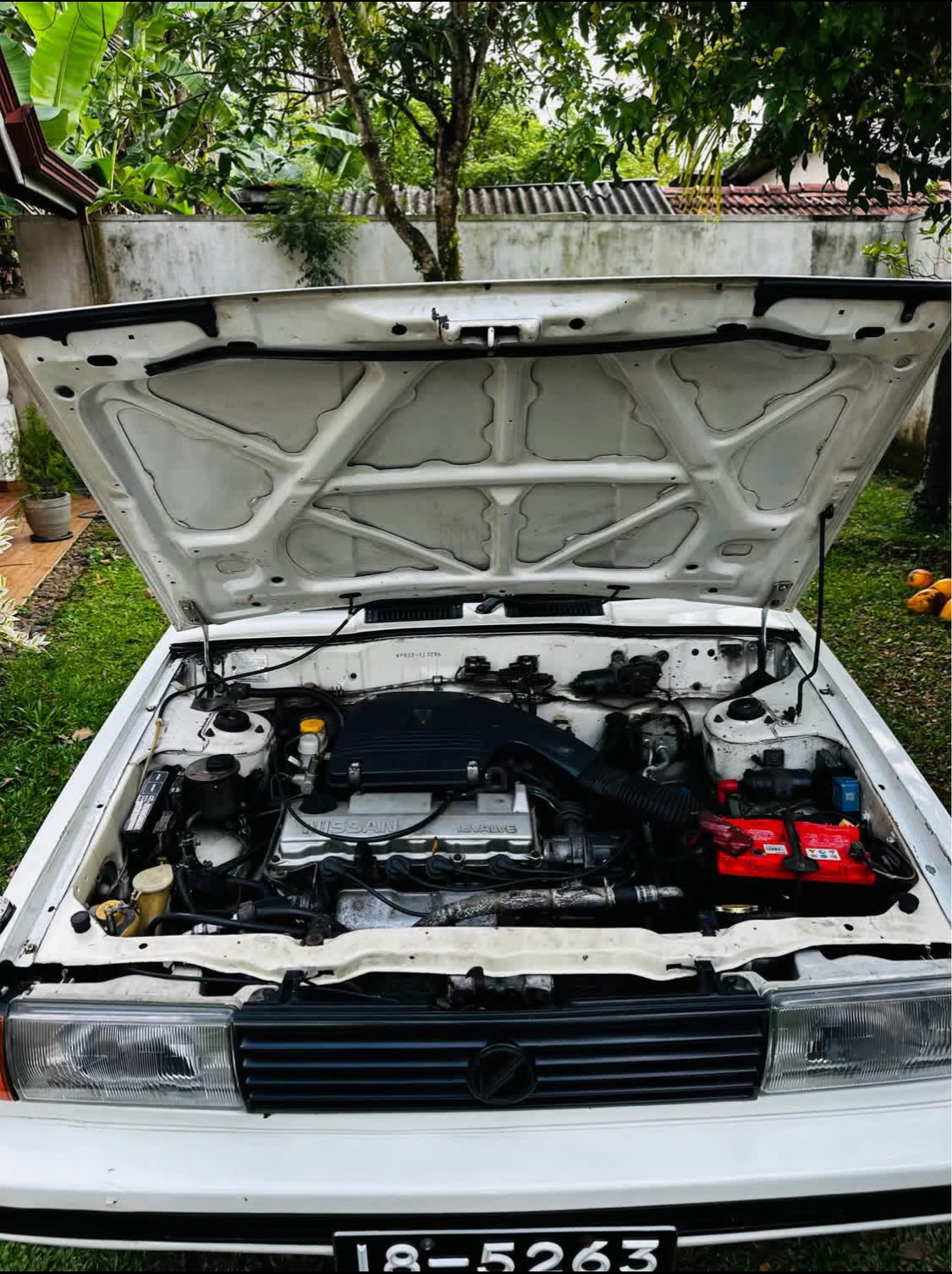 Nissan Sunny 1995 - භාවිතා කරන ලද කාර් sale in Sri Lanka - patpat.lk