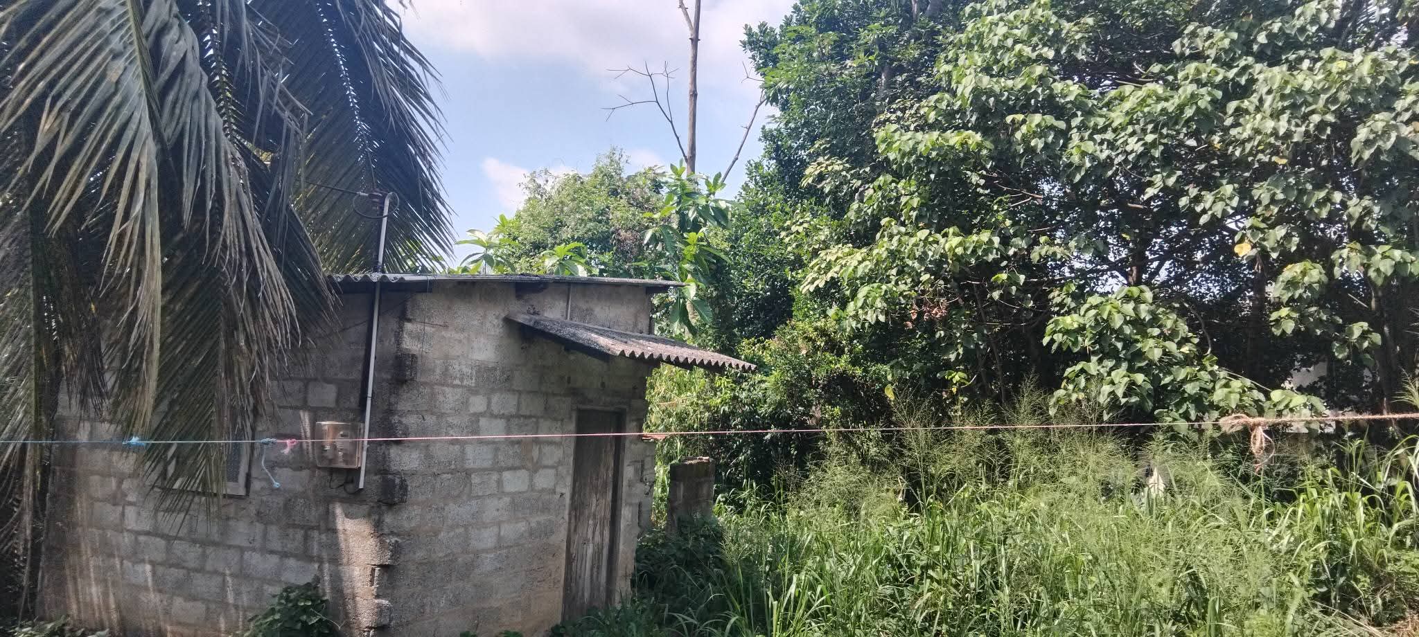 Commercial Land for Sale in Gonapola Junction ads-image-1