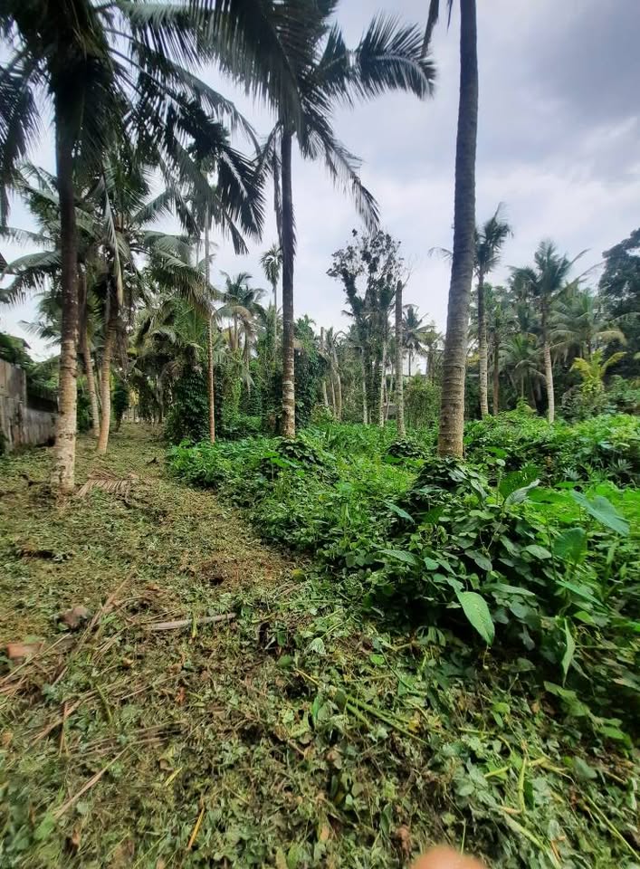 Residential Land for Sale in Mulleriyawa New Town ads-image-1