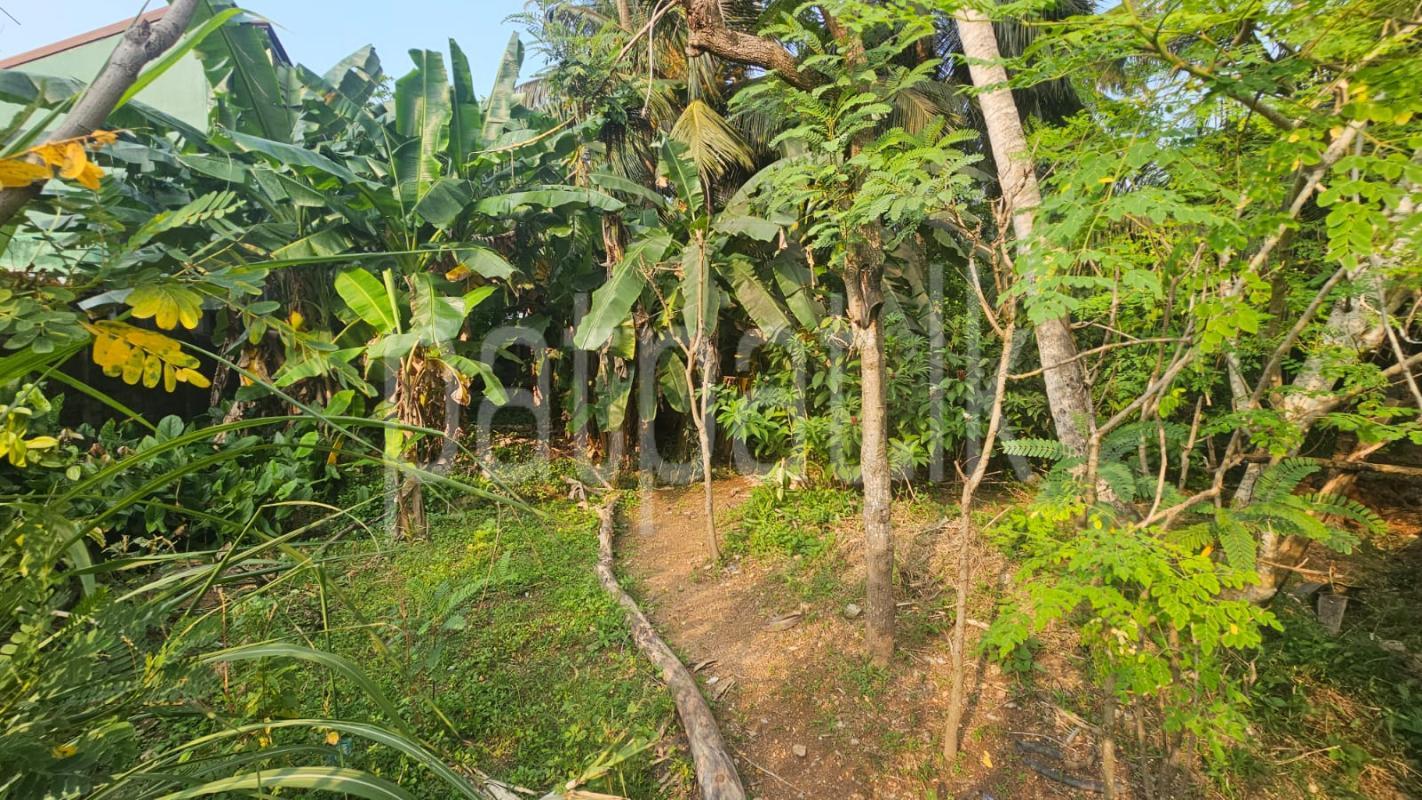 Commercial Land for Sale in Panadura