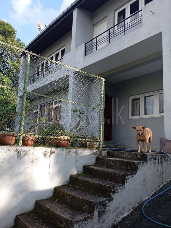House for Sale in Tennekumbura