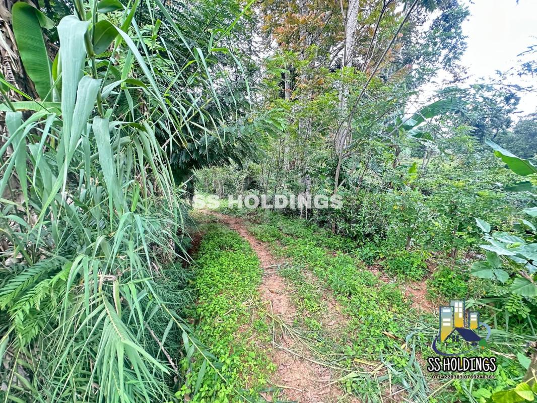 Commercial Land for Sale in Bandarawela