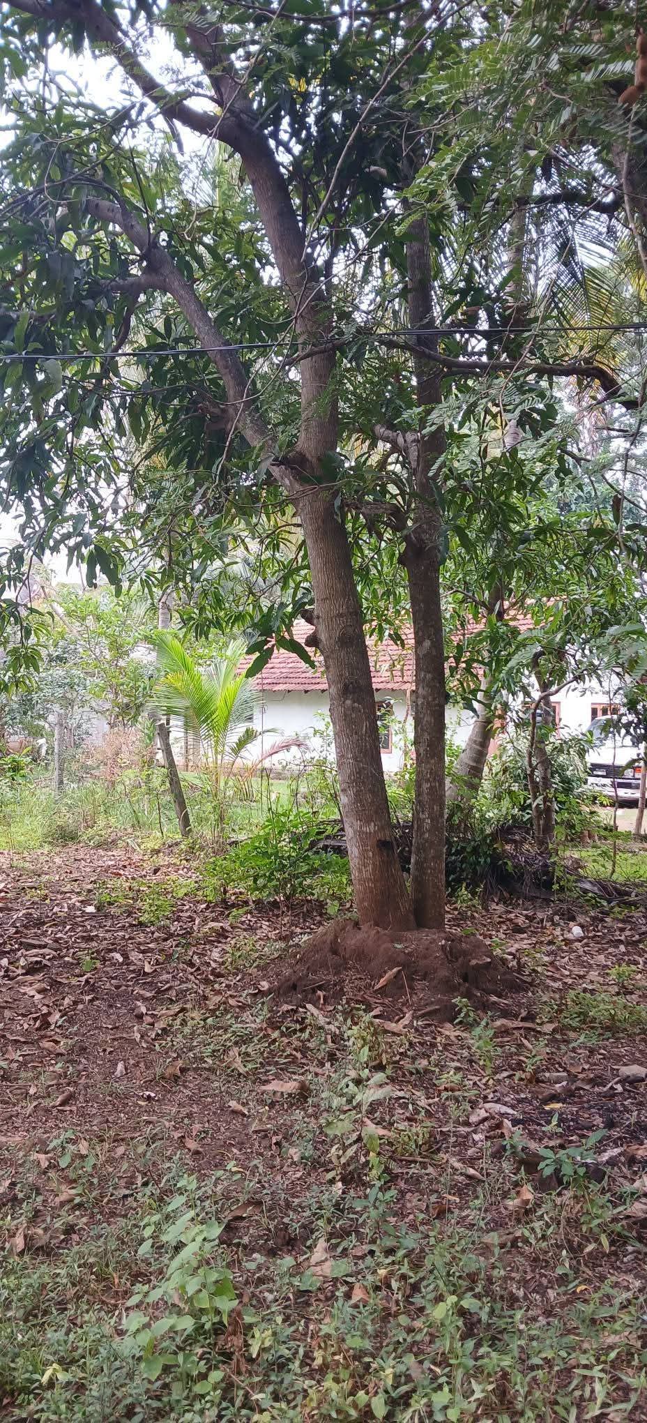 Residential Land for Sale in Kataragama