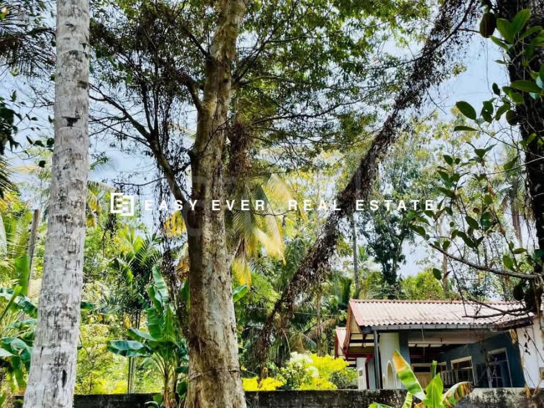 Residential Land for Sale in Gampaha