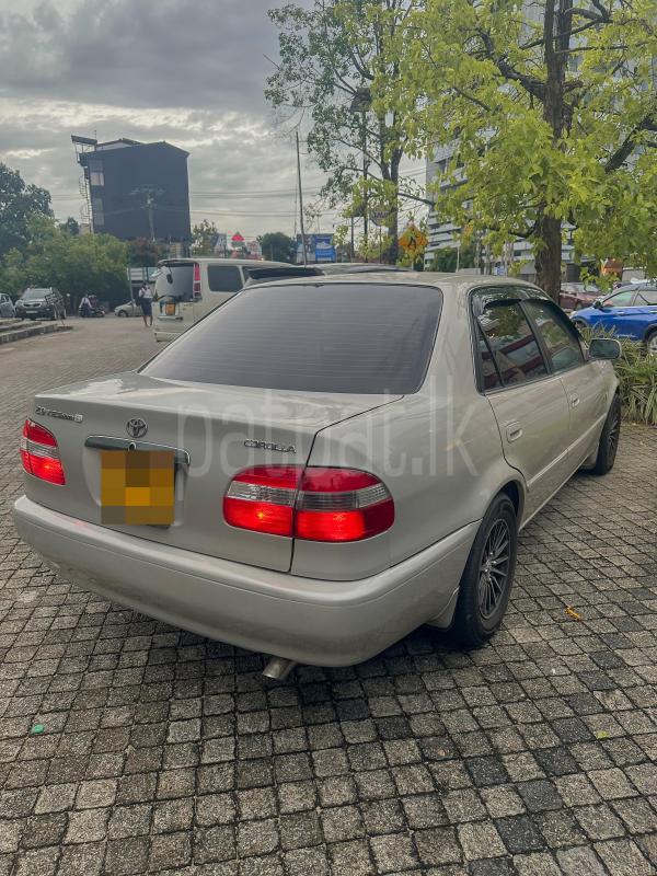 Advertisement image 6