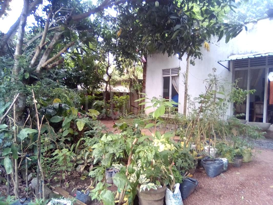 House for Sale in Gampaha ads-image-1