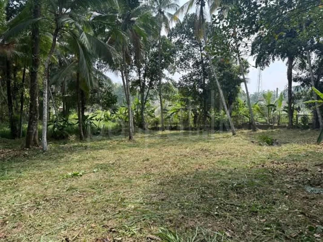 Commercial Land for Sale in Yakkala