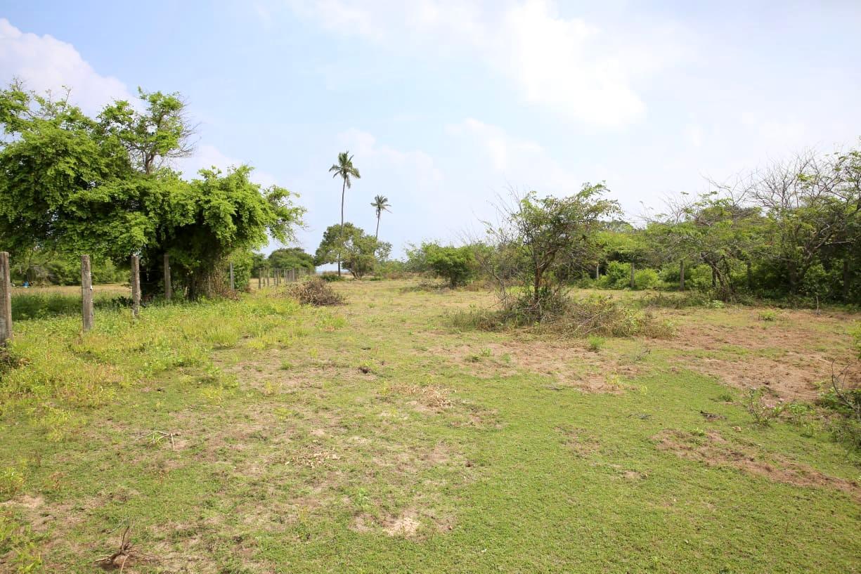 Commercial Land for Sale in Nilaveli