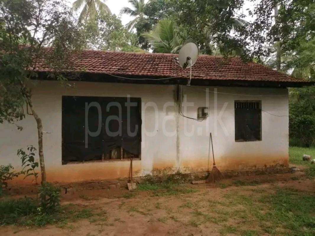 House for Sale in Giriulla