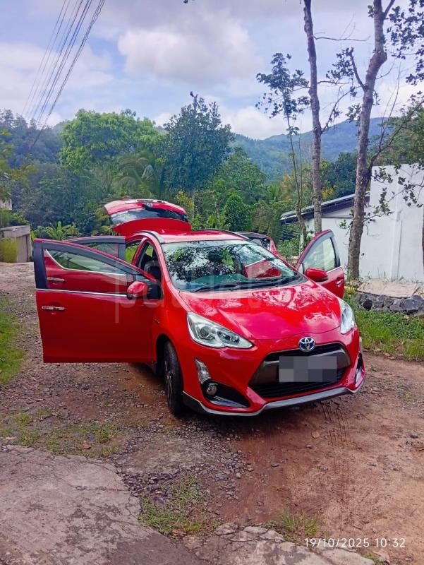 Advertisement image 2