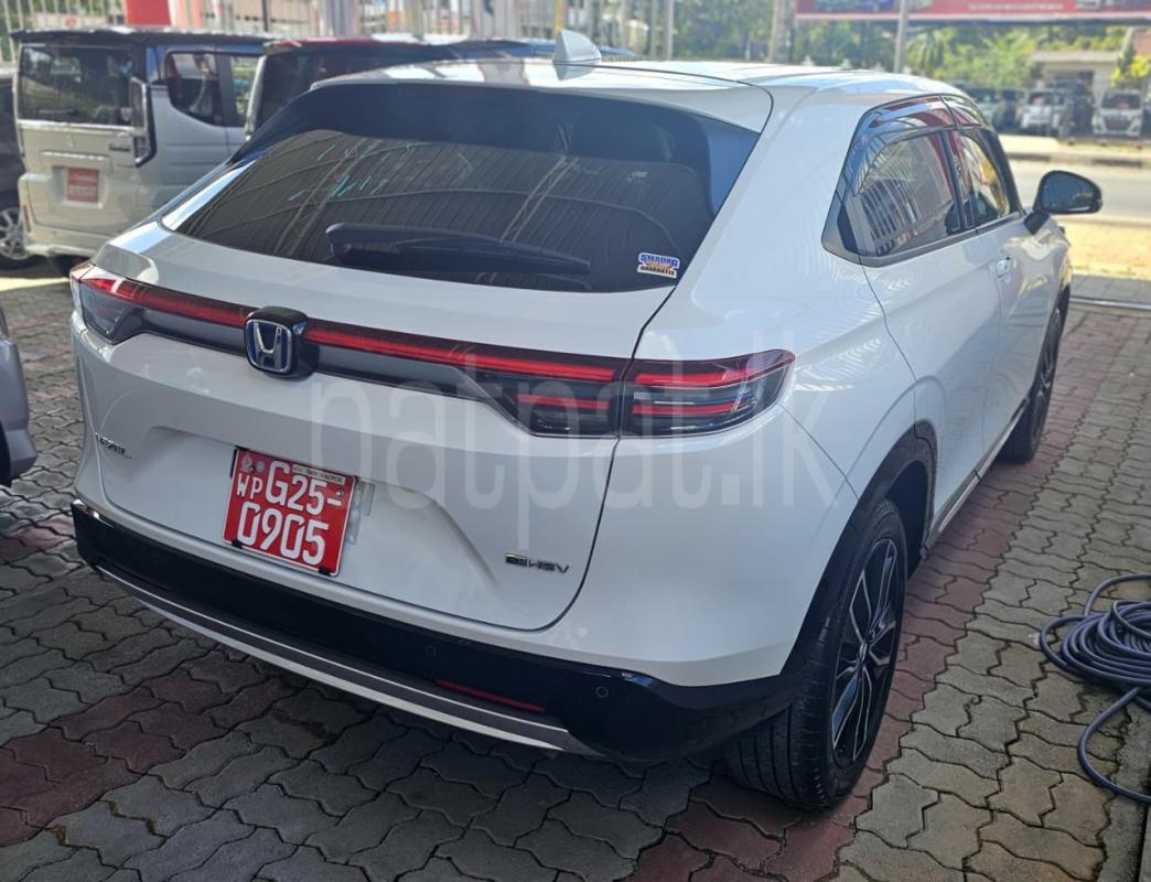 Advertisement image 5