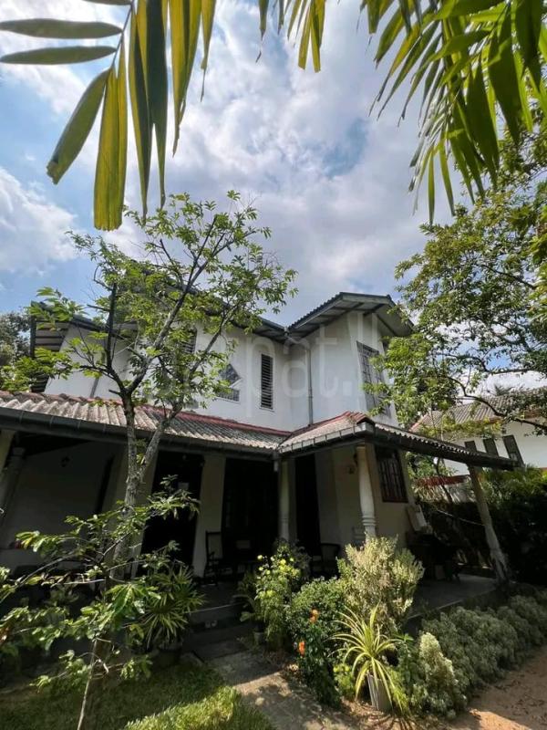 premium-listing-image