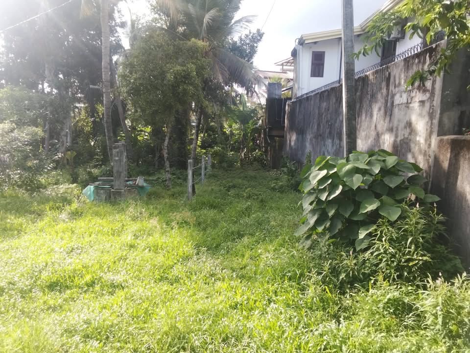 Residential Land for Sale in Kirulapone
