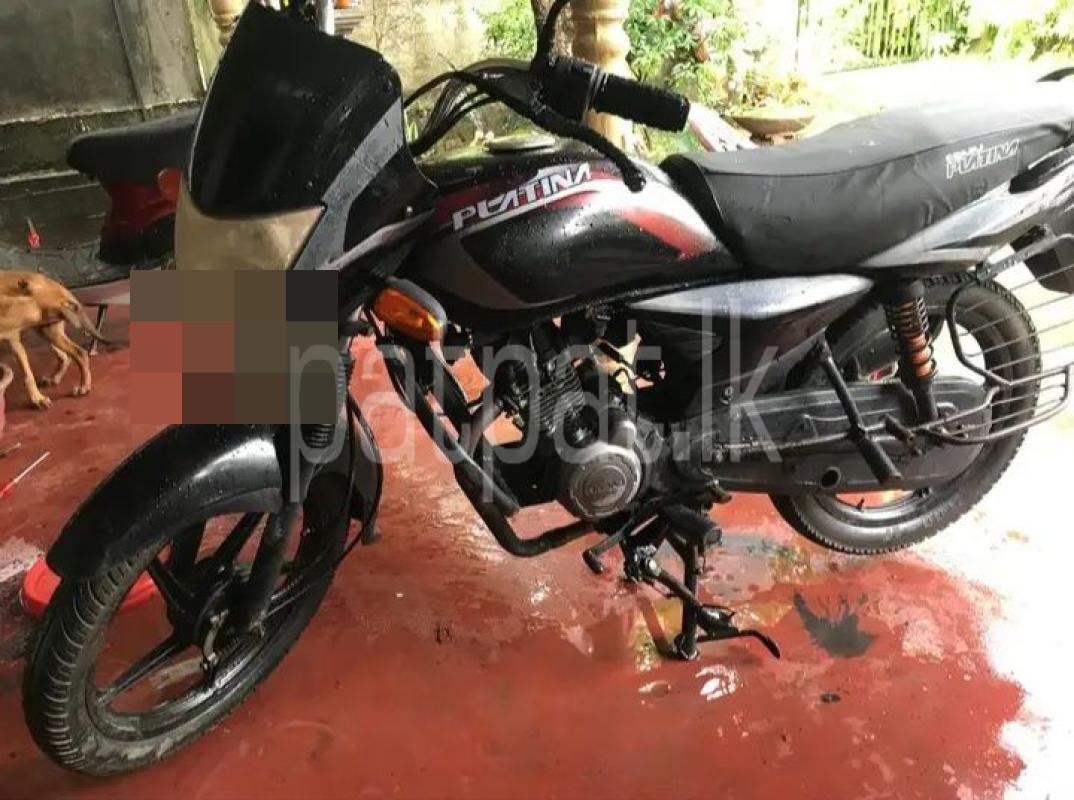 Advertisement image 1