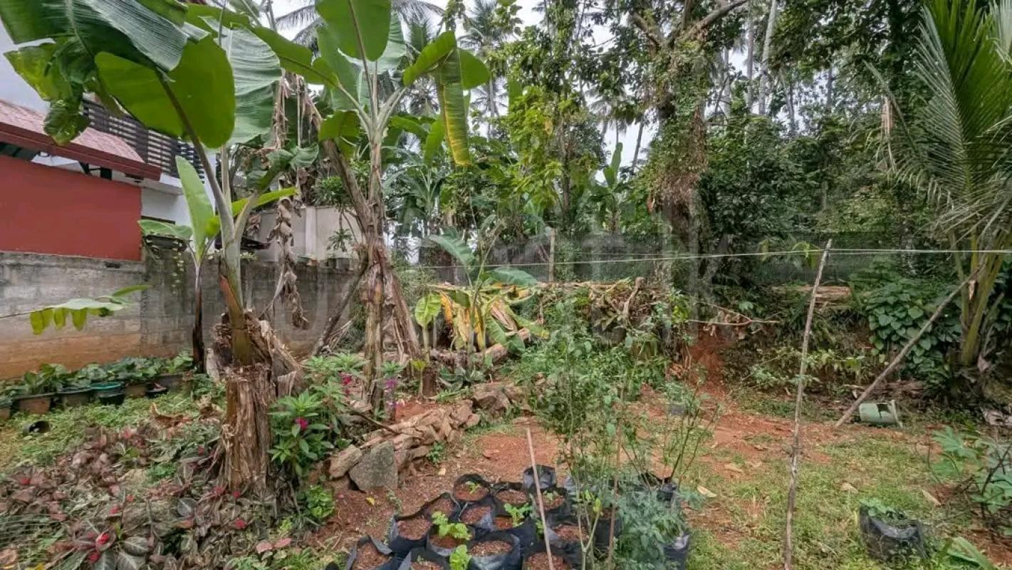 Residential Land for Sale in Mirigama ads-image-1