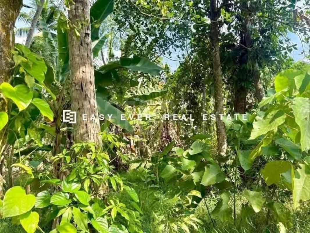 Residential Land for Sale in Kalagedihena