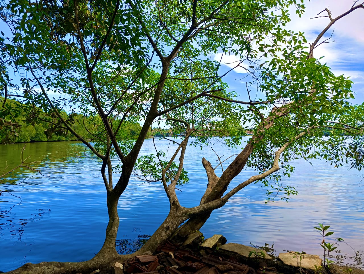 Commercial Land for Sale in Bentota