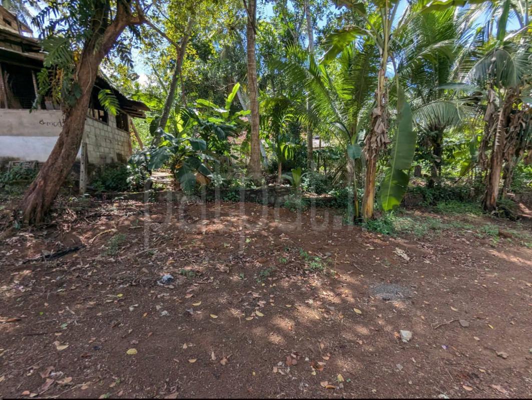Residential Land for Sale in Kadawatha