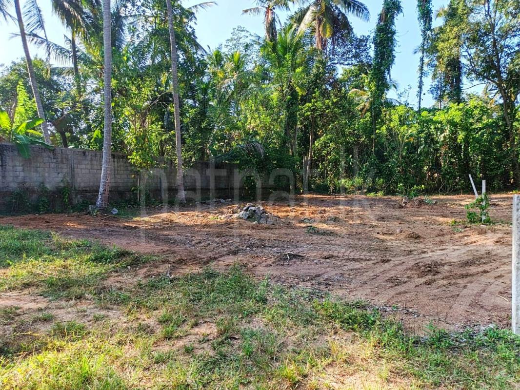 Commercial Land for Sale in Kadawatha ads-image-1