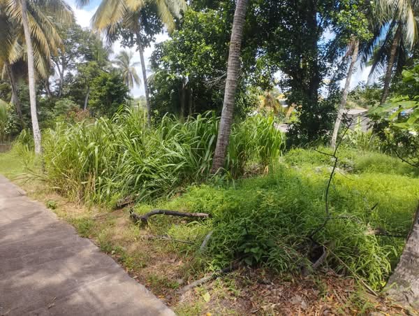 Residential Land for Sale in Pannipitiya