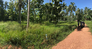 Residential Land for Sale in Udubaddawa